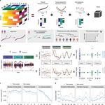 Identifying temporal and spatial patterns of variation from multimodal data using MEFISTO